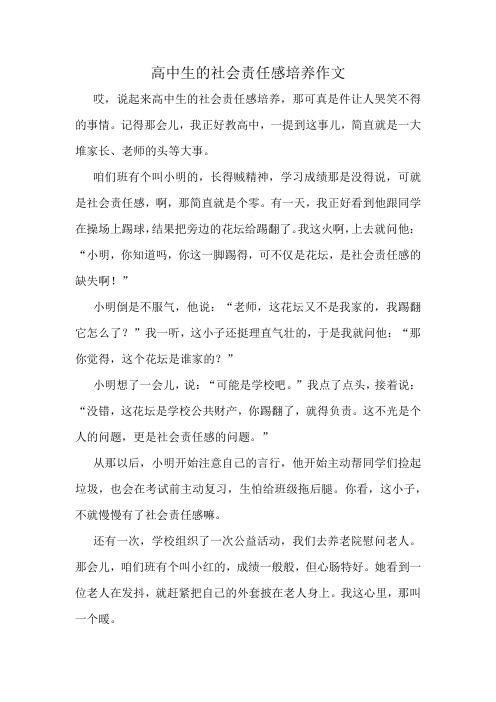 高中生的社会责任感培养作文
