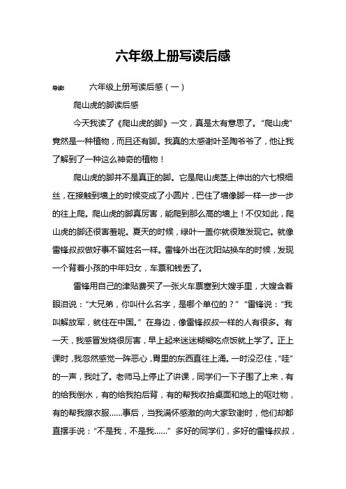 六年级上册写读后感