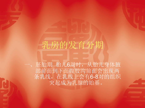 乳腺的发育分期