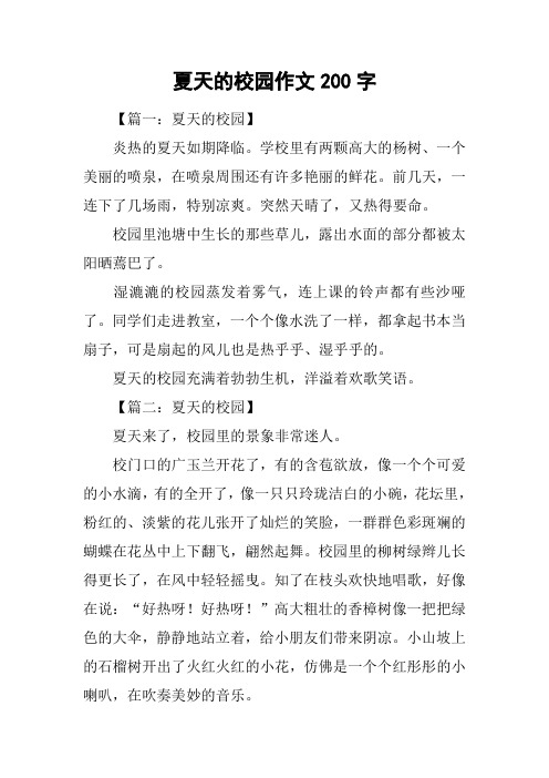 夏天的校园作文200字