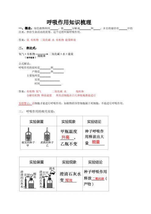 呼吸作用知识梳理