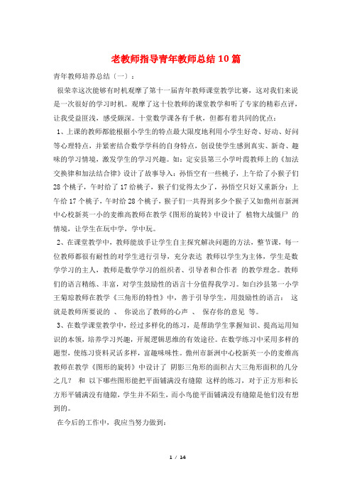 老教师指导青年教师总结10篇