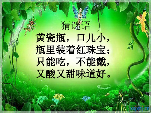 石榴课件ppt