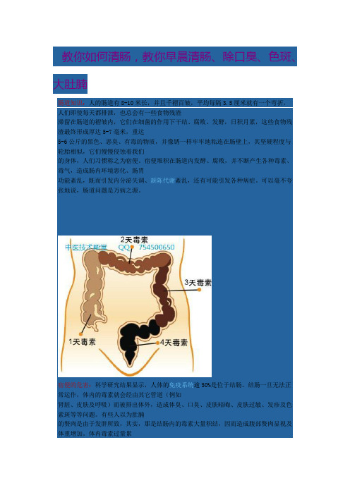 如何清肠,教你早晨清肠、除口臭