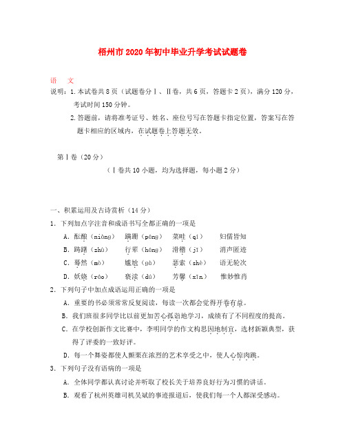 广西梧州市2020年中考语文真题试题