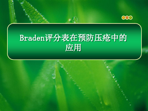 Braden评分表