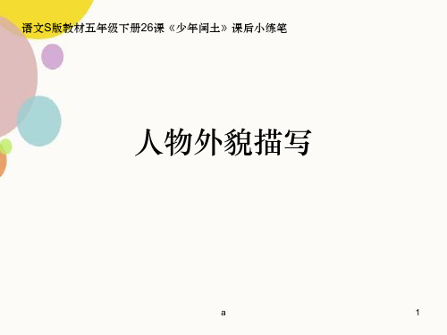 《少年闰土》课外小练笔