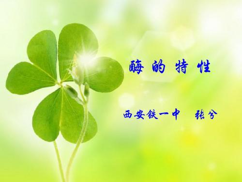酶的特性(张兮)