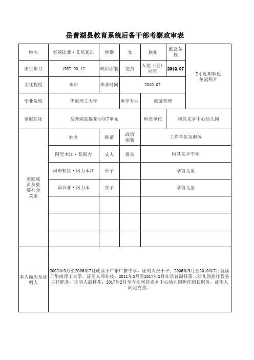 保安政审表格