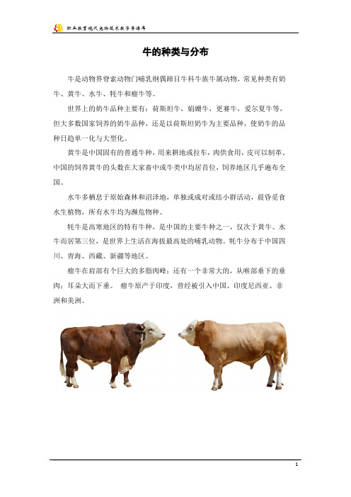 牛的种类与分布.
