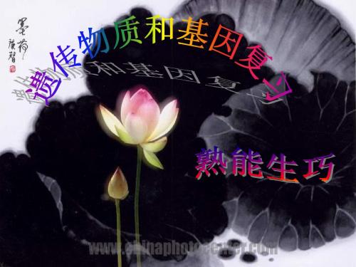 遗传物质和基因复习-高中三年级生物课件