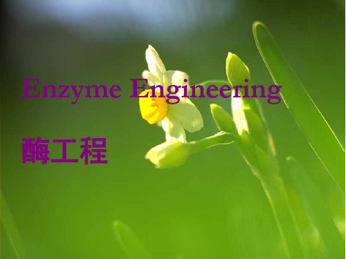 第二章下 酶的抑制动力学