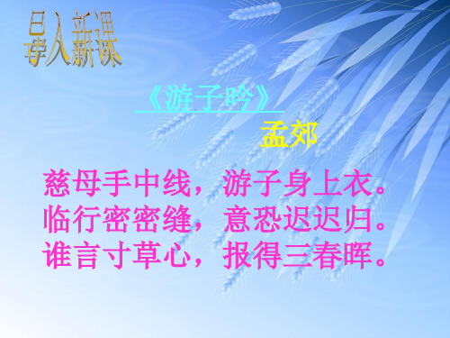 5、《回忆我的母亲》ppt课件(用)