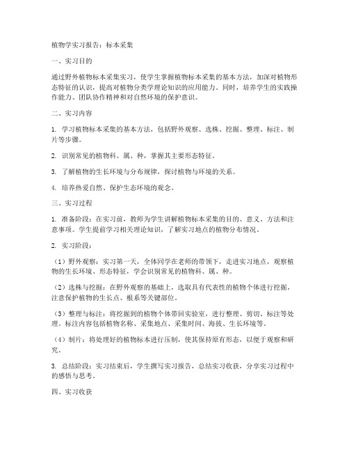 植物学实习报告标本采集