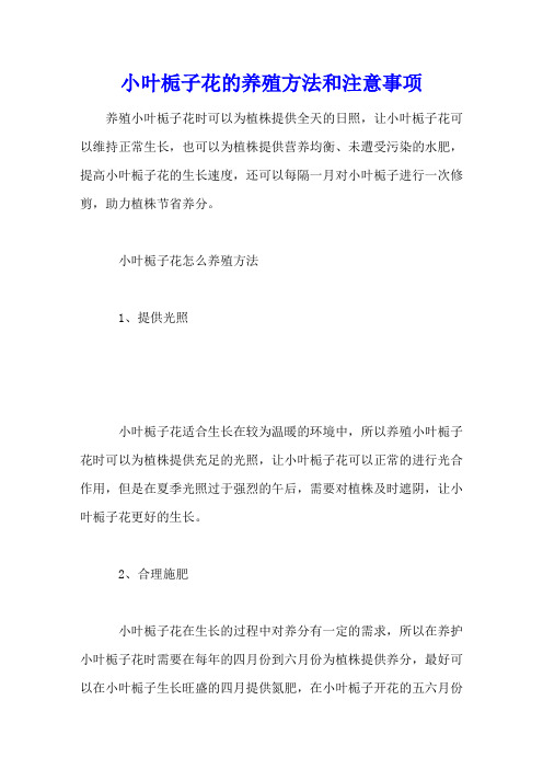 小叶栀子花的养殖方法和注意事项