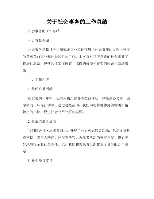 关于社会事务的工作总结