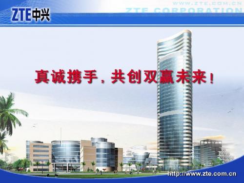 双载频网络规划和优化