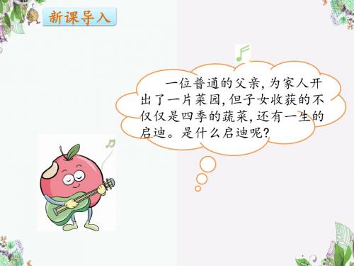 28父亲的菜园