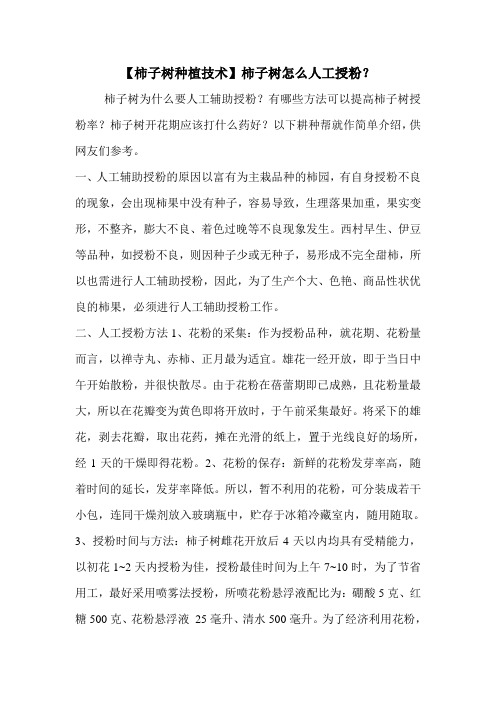【柿子树种植技术】柿子树怎么人工授粉？