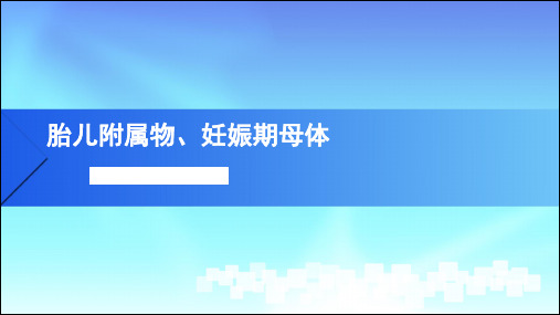 妊娠生理-胎儿附属物、妊娠期母体