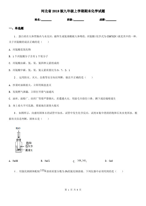 河北省2019版九年级上学期期末化学试题