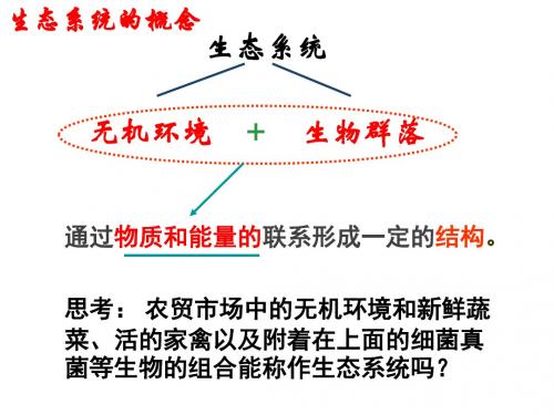 人教版必修3 生物(稳态与环境)：5.1生态系统的结构(共15张PPT)