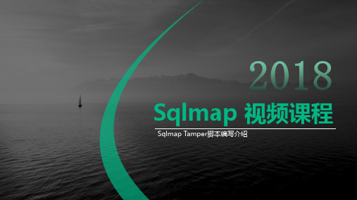 【Web攻防】第二十六节 Sqlmap Tamper脚本编写介绍