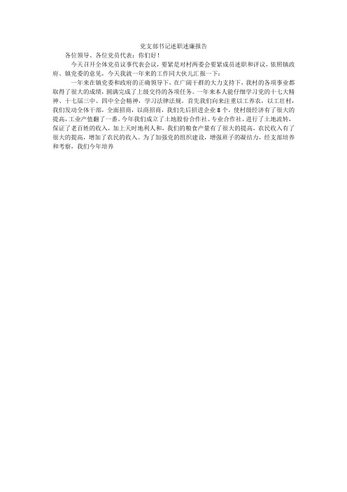 党支部书记述职述廉报告