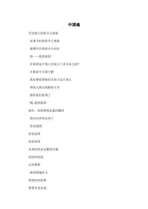 中国魂_高中高二作文1000字