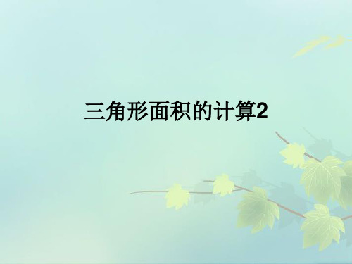 三角形面积的计算2