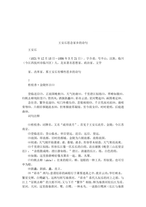 王安石思念家乡的诗句