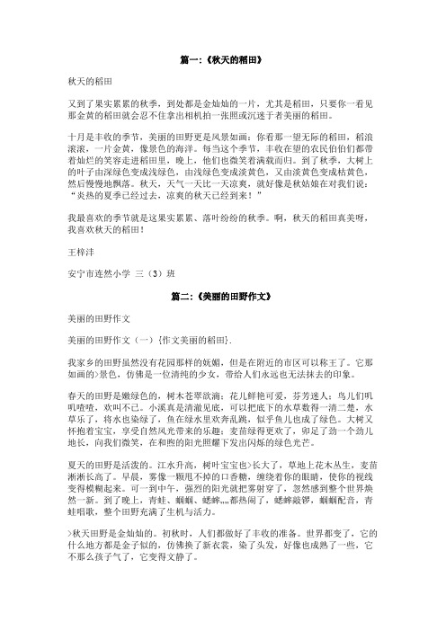 作文美丽的稻田