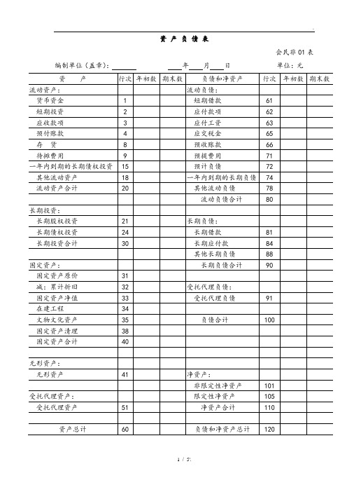 资 产 负 债 表