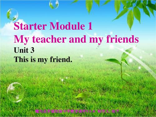 外研版七年级上册Starter Module 1  Unit3 课件(共25张PPT)