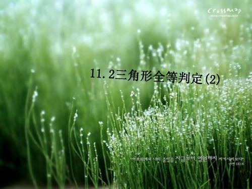 数学人教版八年级上册全等三角形的判定边角边(2)精品PPT课件