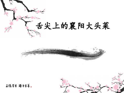 舌尖上的襄阳大头菜ppt