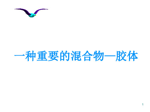 胶体ppt课件