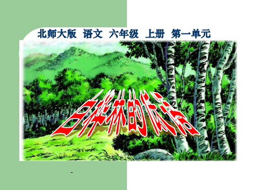 北师大版六年级语文上册《白桦林的低语》优秀ppt课件
