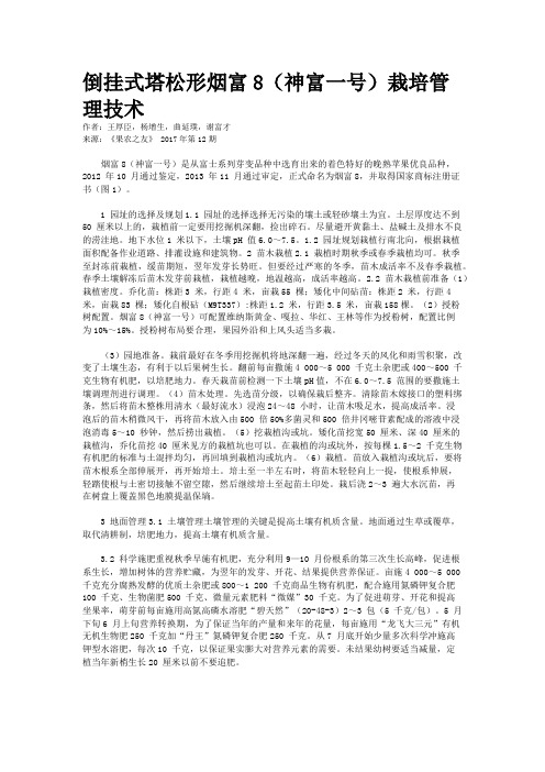 倒挂式塔松形烟富8（神富一号）栽培管理技术