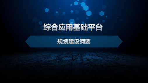 综合应用基础平台建设规划纲要20160701