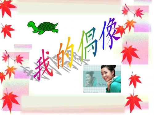 信息-我的偶像