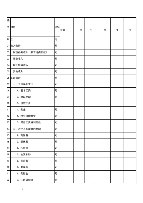 学校收入支出明细表