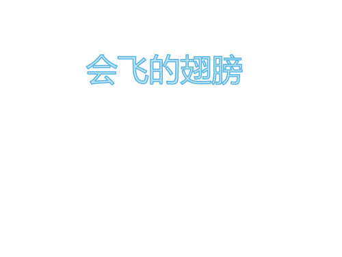 20210508一年级下册美术课件-第15课 会飞的翅膀(20)-湘美版