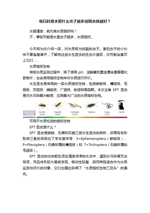 每日科普水里什么虫子越多说明水质越好？