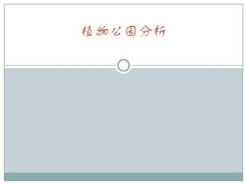 植物公园分析
