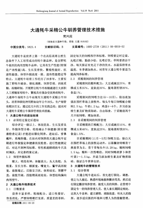 大通牦牛采精公牛驯养管理技术措施