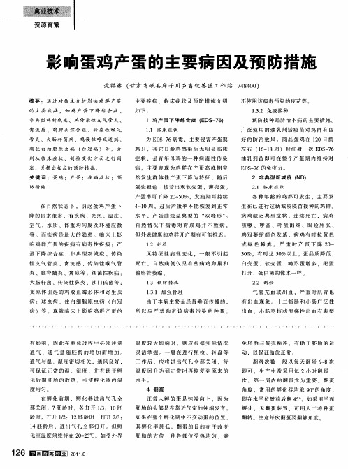 影响蛋鸡产蛋的主要病因及预防措施