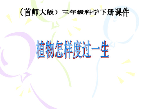 三年级下 . 植物怎样度过一生 首师大版ppt