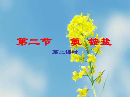 铵盐PPT课件