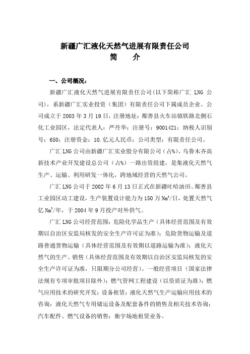 新疆广汇公司简介